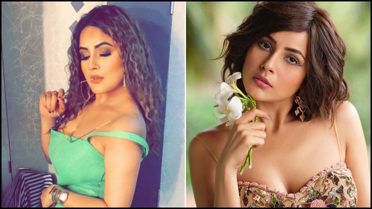 Shehnaaz Gill: రోజంతా ఆ పని చేస్తేనే.. పెళ్లికి రెడీ!