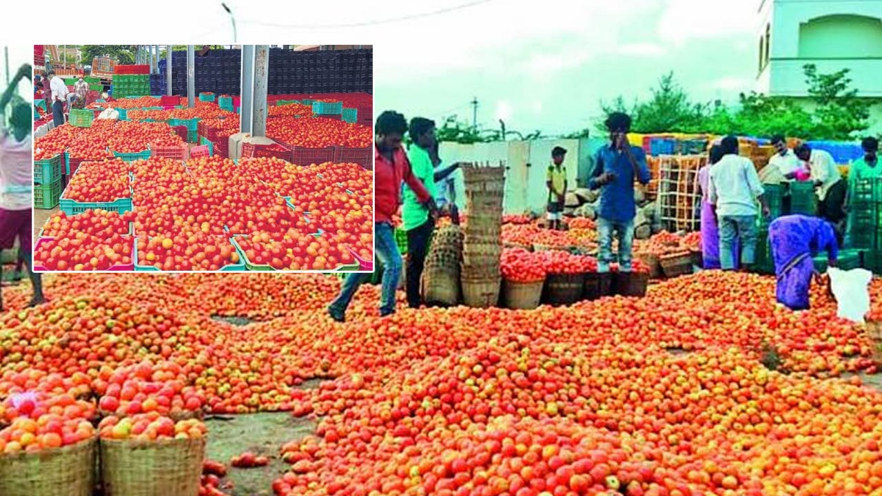 Tomato Price Falls Down: దారుణంగా పతనమైన టమోటా ధర..