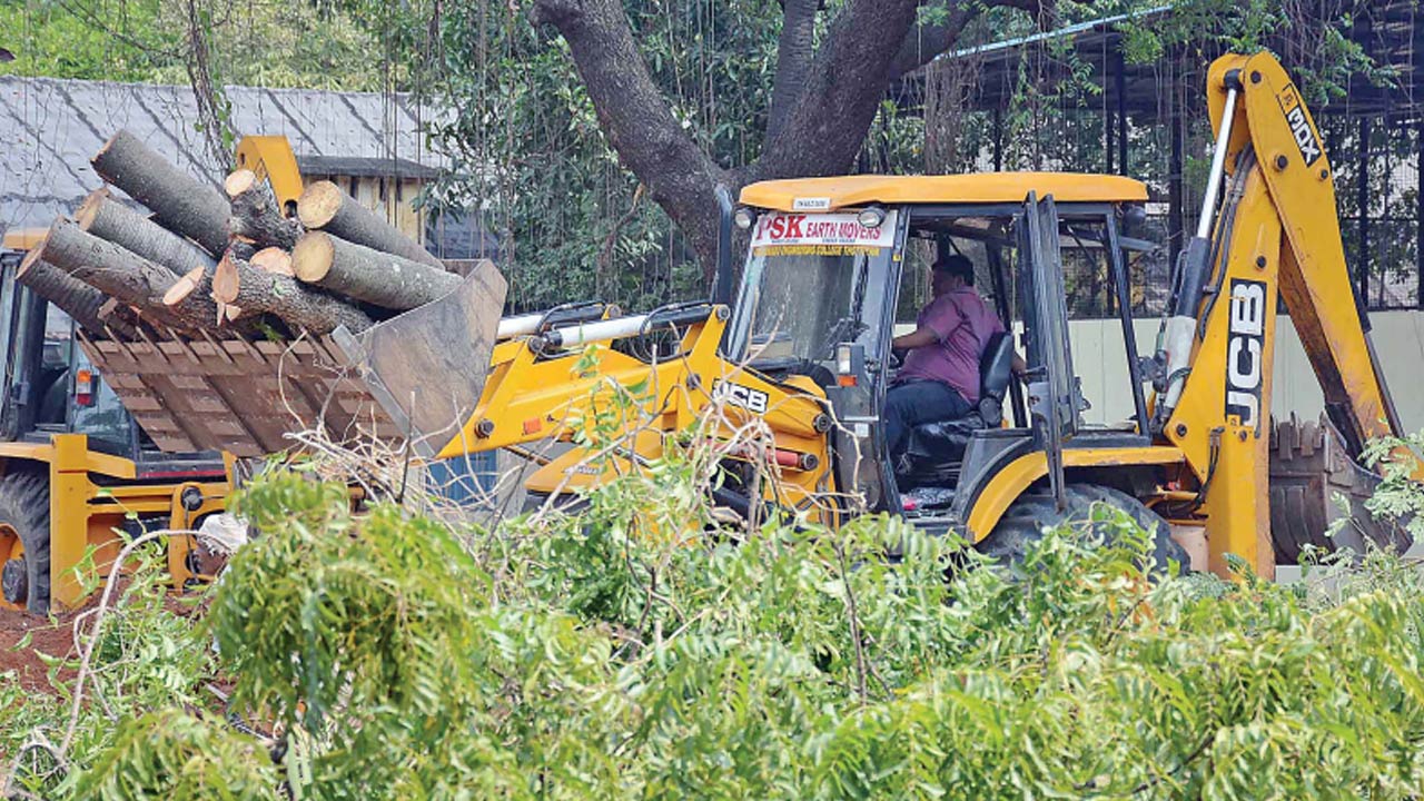 Trees Cutting : One hundred trees destroyed for tennis court... Baldiya tum ne kyakiya?