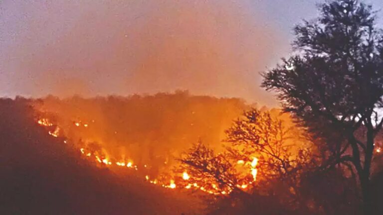 Europe: యూరప్ లో కార్చిచ్చు.. పెరుగుతున్న ఉష్ణోగ్రతలు