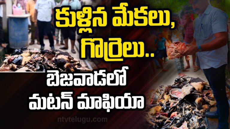 Mutton Mafia: కుళ్ళిన మటన్ అమ్మకాలు.. బెజవాడలో కలకలం