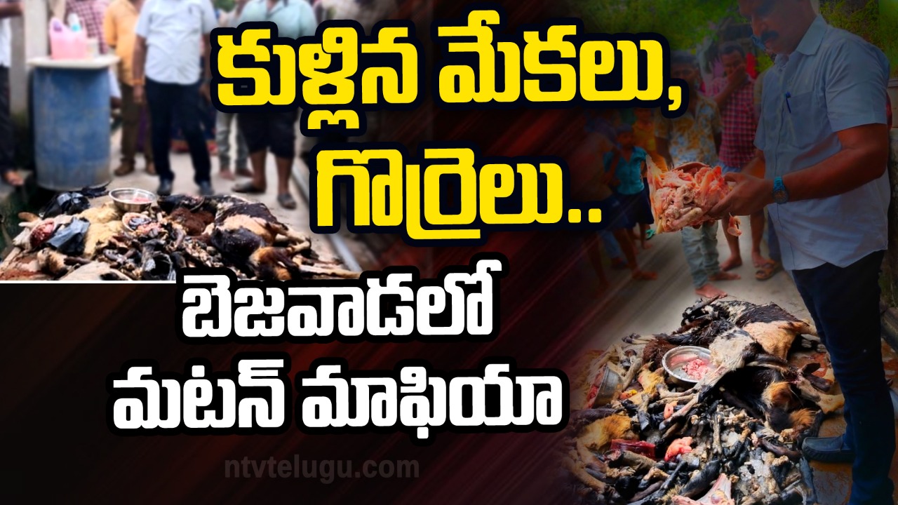Mutton Mafia: కుళ్ళిన మటన్ అమ్మకాలు.. బెజవాడలో కలకలం