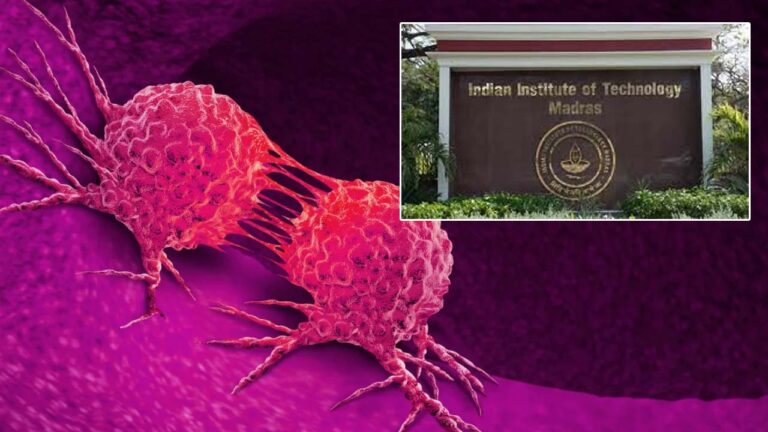 Cancer Diagnosis: క్యాన్సర్‌ని మరింత కచ్చితంగా గుర్తించేందుకు ఏఐ టూల్‌