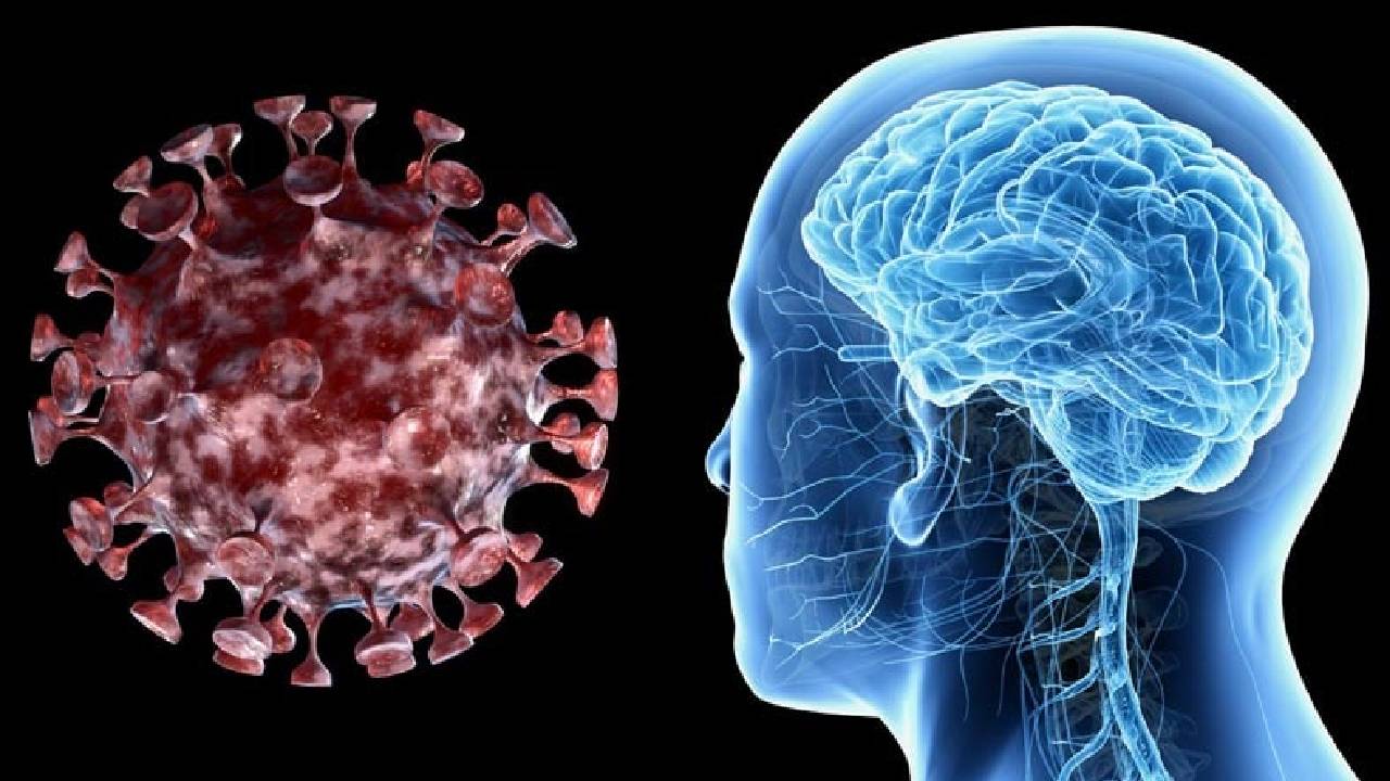 Covid-19: Covid damaging brain vessels..Revealed in recent study