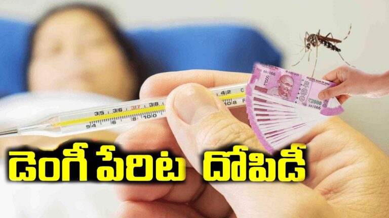 Extortion in the name of dengue: మళ్లీ డెంగీ కేసులు.. చికిత్స పేరిట లక్షల వసూళ్లు