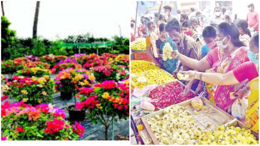 Kadiyapulanka Flowers: కడియపులంకకు శ్రావణ మాస శోభ