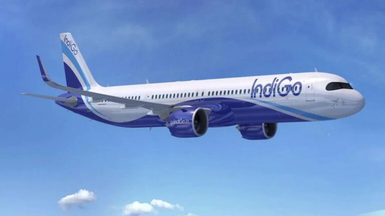 Indigo Airlines: ఇండిగో ఎయిర్‌లైన్స్‌లో సాంకేతిక లోపం.. ప్రయాణికుల అవస్థలు