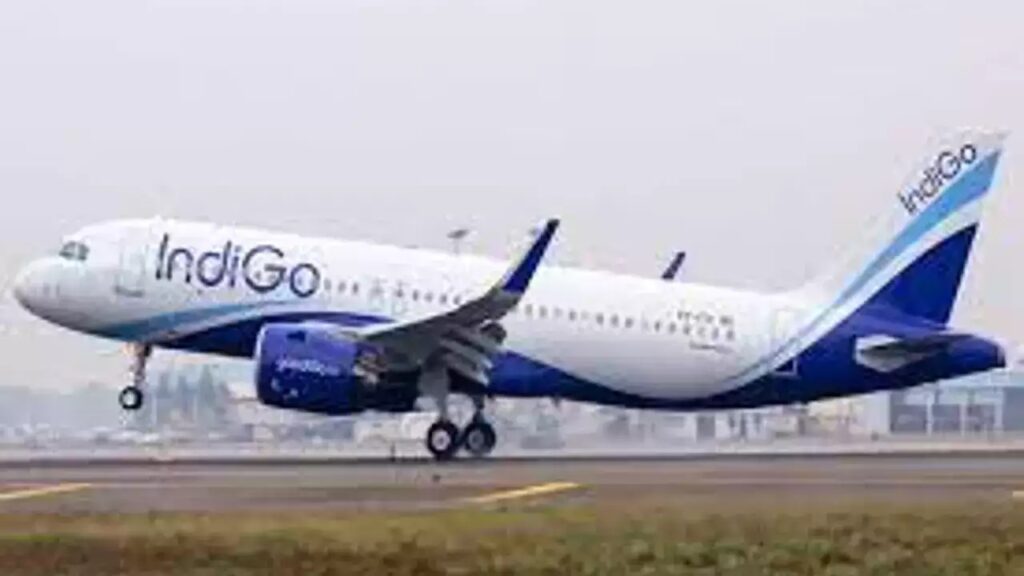 Indigo Flight