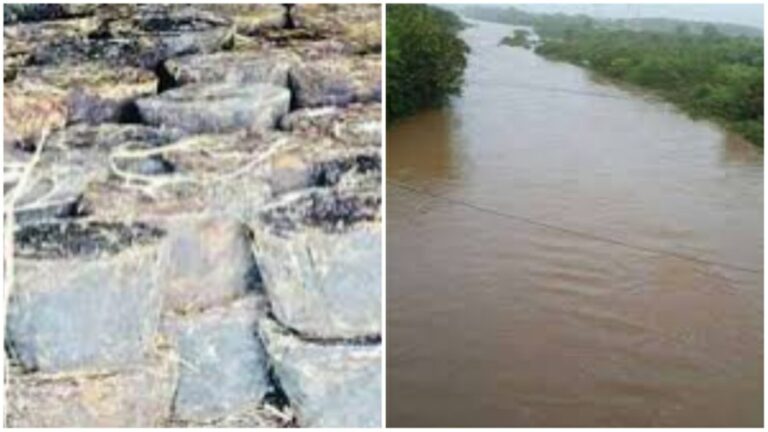 Jaggery Destroy: వాగులో బంగారం….ఎందుకో తెలుసా?