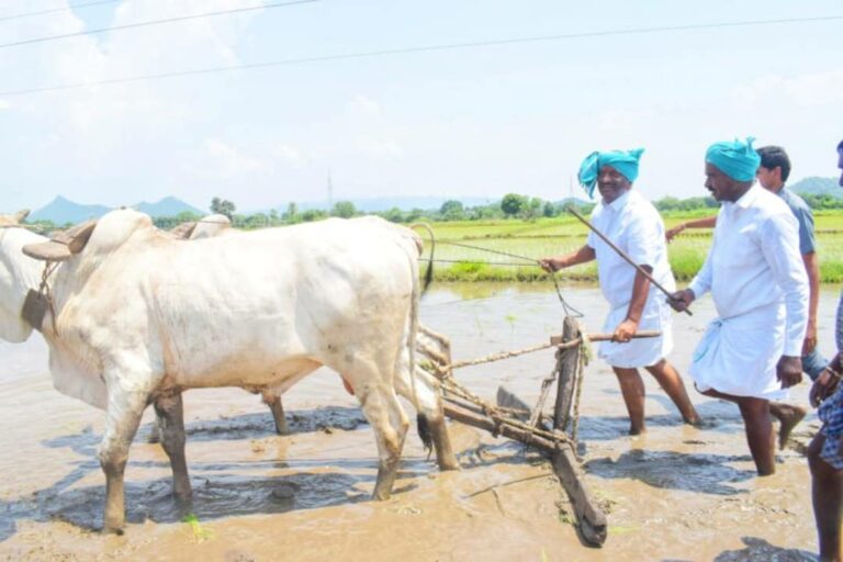 Koppula Eshwar: నారు పరిచి… నాట్లు వేసిన మంత్రి…ఎక్కడంటే?