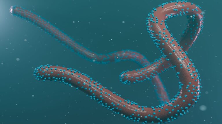 Marburg Virus: ఆఫ్రికాలో మరో ప్రాణాంతక వైరస్.. ఇప్పటికే ఇద్దరు మృతి