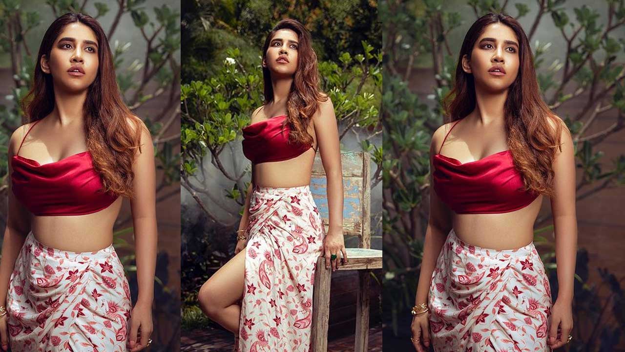 Nabha Natesh: ఇస్మార్ట్ బ్యూటీ.. ఇస్మార్ట్ అందం అదుర్స్