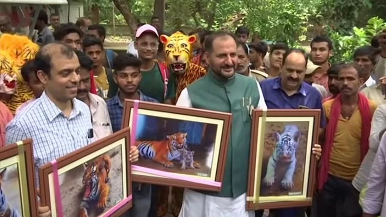 Names to Tiger Cubs: Bihar CM named four newborn tiger cubs.. Do you know what the names are?