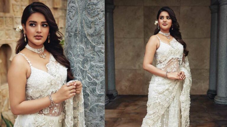 Nidhhi Agerwal: చీరకట్టులో చిన్నది.. చెలరేగిపోతానంటున్నది