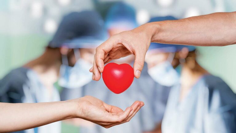 Organ Donation: తను చనిపోయి.. ఐదుగురిని బతికించింది