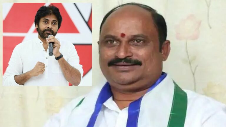 Pawan Kalyan: పవన్ కళ్యాణ్.. పొలిటికల్ క్యారక్టర్ ఆర్టిస్ట్: అడపా శేషు