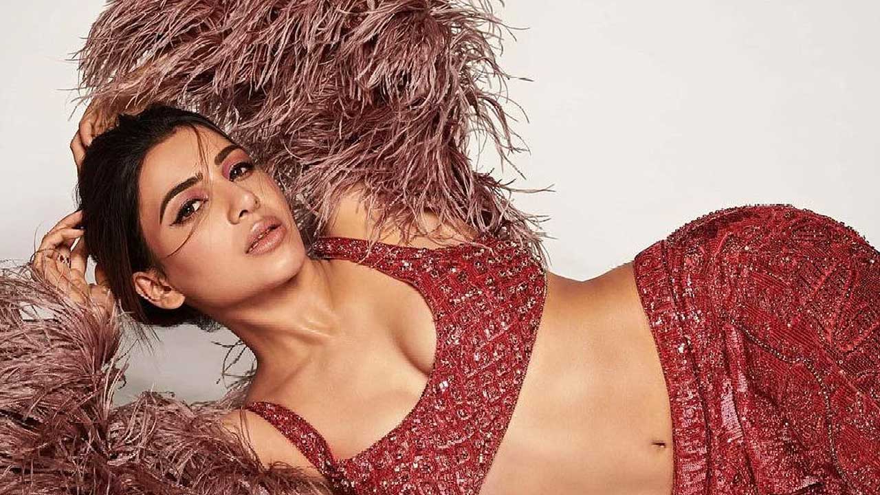 Samantha: లిప్ లాక్ లే కాదు.. వెబ్ సిరీస్లో అంతకు మించి ఉంటాయట