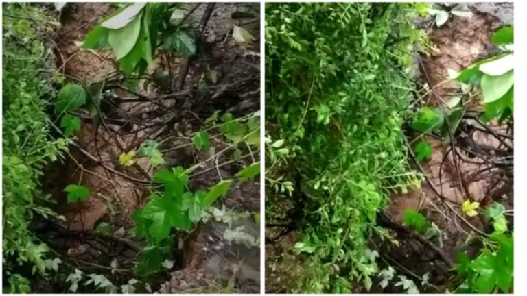 Singareni Old Mine: కుంగిన సింగరేణి పాత గని ఏరియా