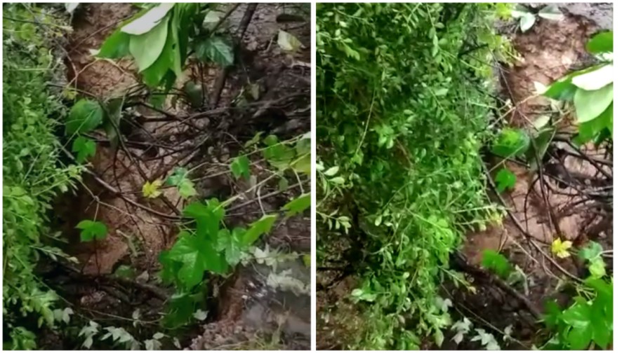 Singareni Old Mine: కుంగిన సింగరేణి పాత గని ఏరియా