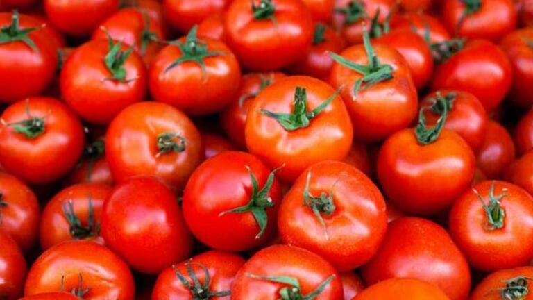 Tomato Prices: మొన్నటివరకూ భారీ ధర…ఇప్పుడేమో నేలచూపులు