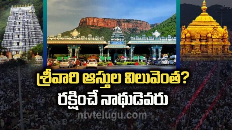 Tirumala Assets: శ్రీవారి ఆస్తుల విలువెంత? రక్షించే నాథుడెవరు?