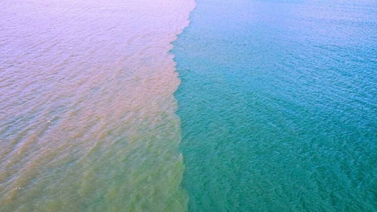 Godavari Sea Water Colours: నీరంగు నీదే.. నా రంగు నాదే