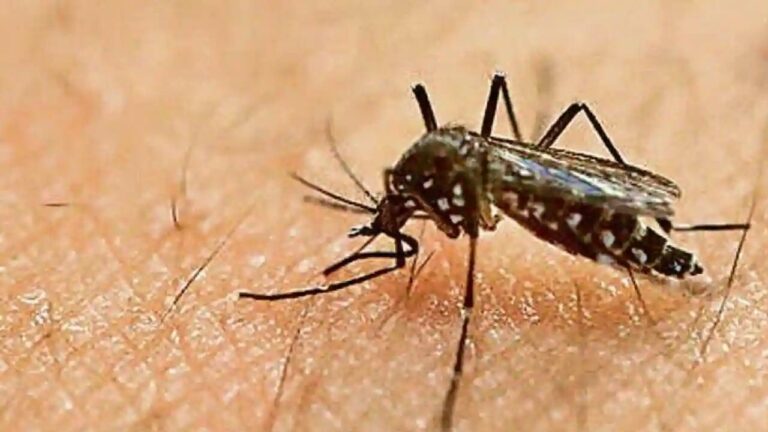Zika Virus: మహారాష్ట్రలో మళ్లీ జికా వైరస్ కలకలం.. ఏడేళ్ల బాలికకు పాజిటివ్