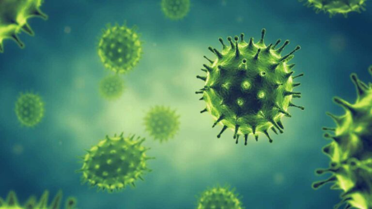 Corona Updates : తెలంగాణలో కొత్తగా 528 కరోనా పాజిటివ్ కేసులు