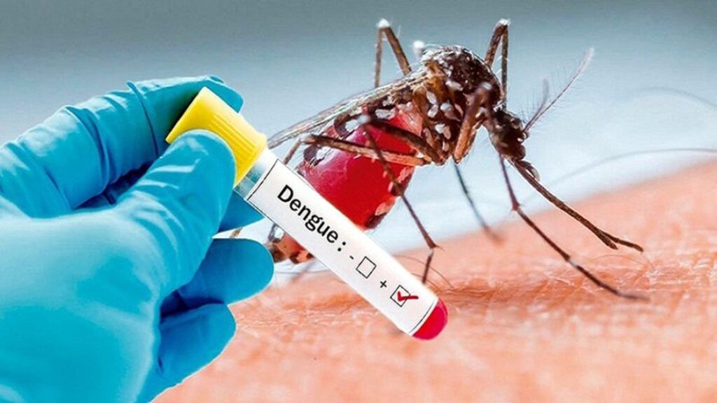 Dengue Fever