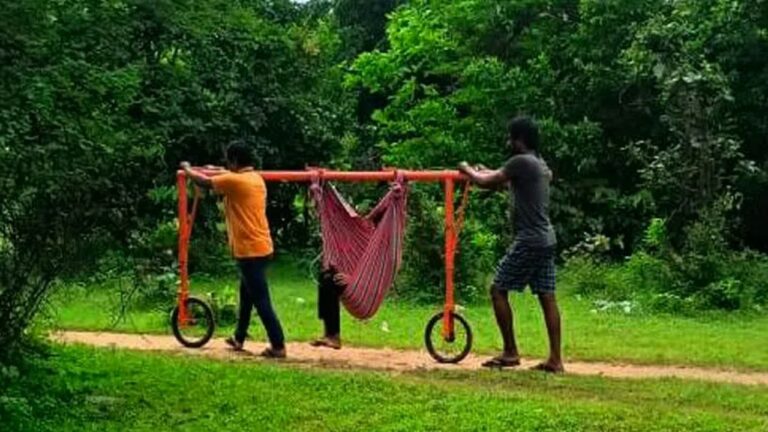 Doli Updated Version: డోలీ.. డోలీ.. డోలీరే. ఆలోచన అదిరే. ఈ డోలీ మోయటం ఈజీ.