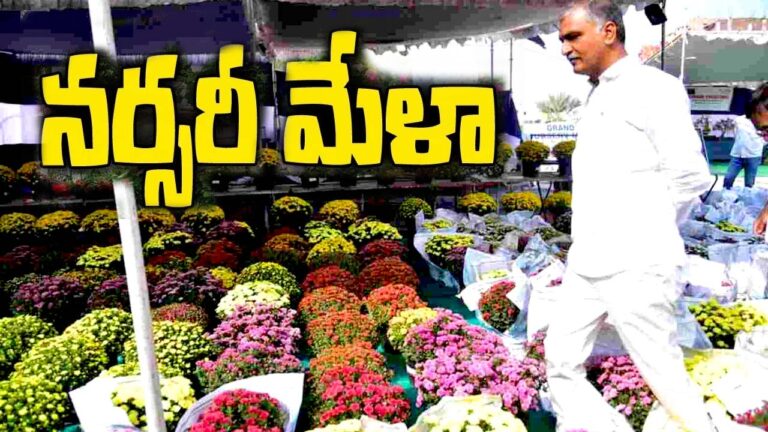Harish Rao: 140 స్టాల్స్ తో నర్సరీ మేళా.. ప్రారంభించిన మంత్రి
