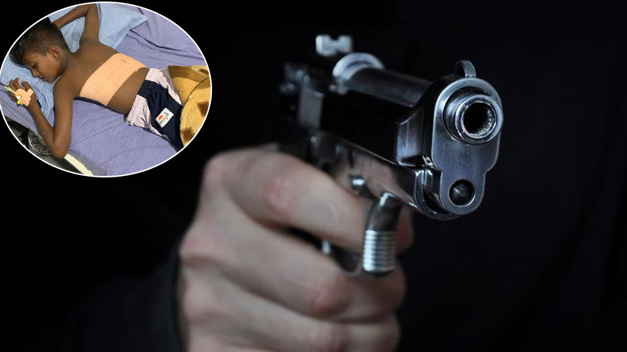 Illegal Weapons in Telangana: హైదరాబాద్‌ లో రాజ్యమేలుతున్న గన్ కల్చర్..