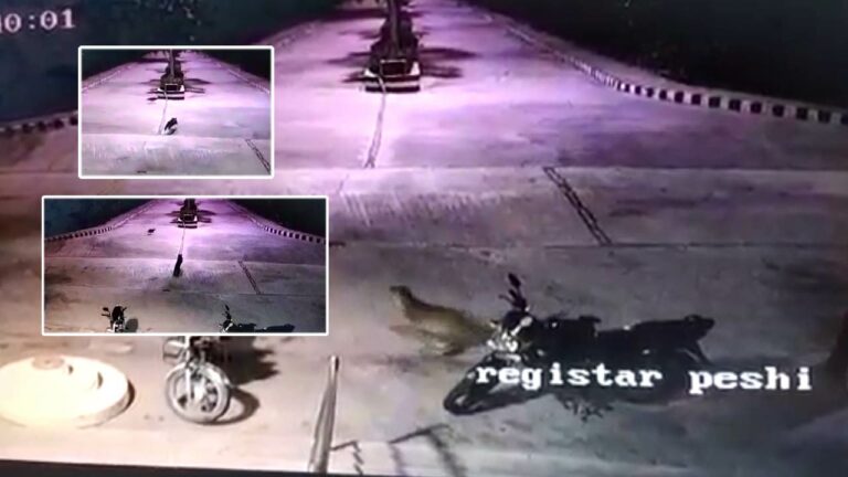 Leopard : ఎస్వీ వెటర్నరీ వర్సిటీలో చిరుత కలకలం.. విద్యార్థుల్లో టెన్షన్‌..