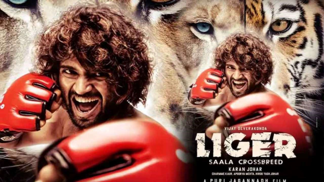 Liger: సీక్వెల్ ఖాయం! అనన్య పాత్రపై ఇన్ డైరెక్ట్ గా క్లారిటీ!