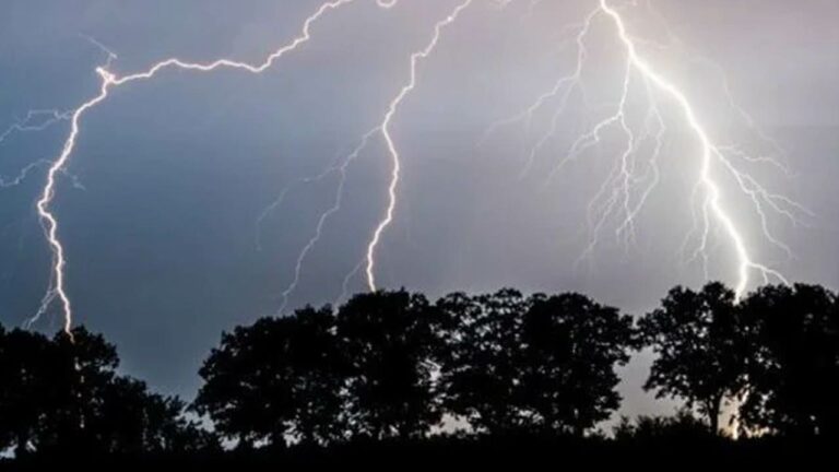 Lightning strikes: పిడుగుపాటుకు నలుగురు బలి