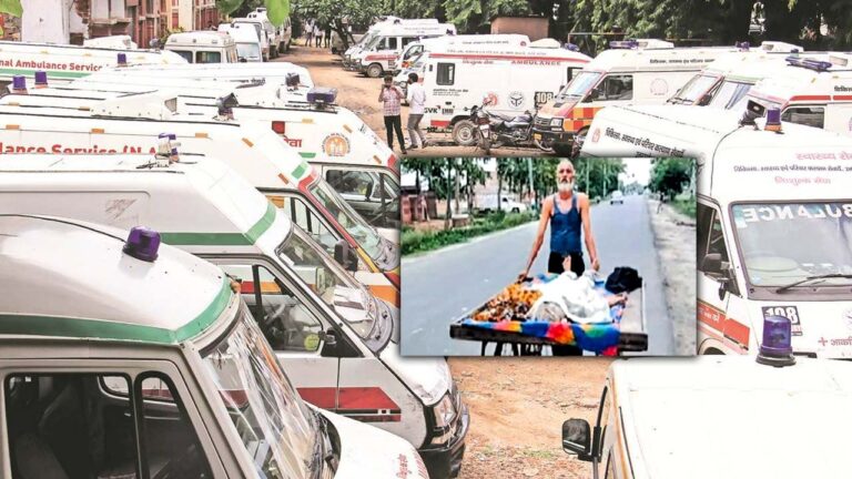 Mother Takes to Hospital on Handcart: తల్లిని బతికించుకునేందుకు తనయుడి కష్టం.. చివరకు..