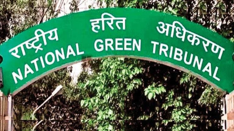 NGT On Kakinada Mada Forest: మడ అడవుల తొలగింపుపై.. ఎన్జీటీ ఆగ్రహం