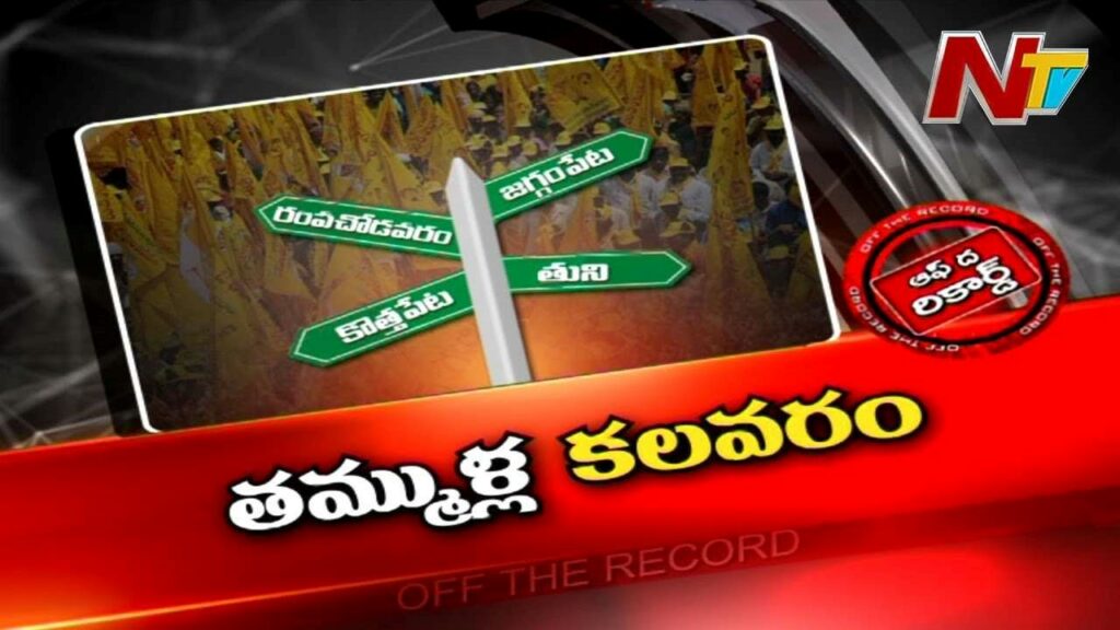 Tdp Politics