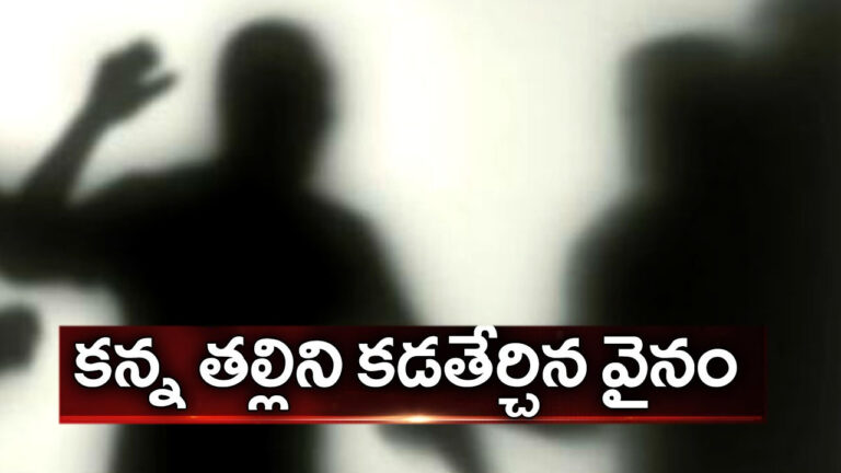 The Son Killed the Mother: దారుణం.. తల్లిని కడతేర్చిన కుమారుడు.. ఎలాగంటే..?