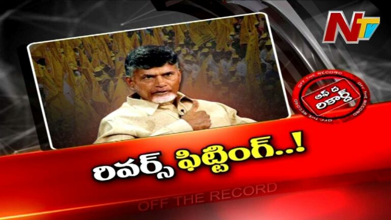 TDP Leaders : చంద్రబాబుకు పార్టీ నేతలు చుక్కలు చూపిస్తున్నారా..?