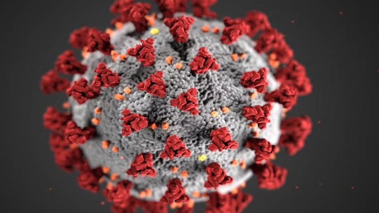 Covid Cases: దేశంలో భారీగా పెరిగిన కరోనా కేసులు.. కొత్తగా ఎన్నంటే?