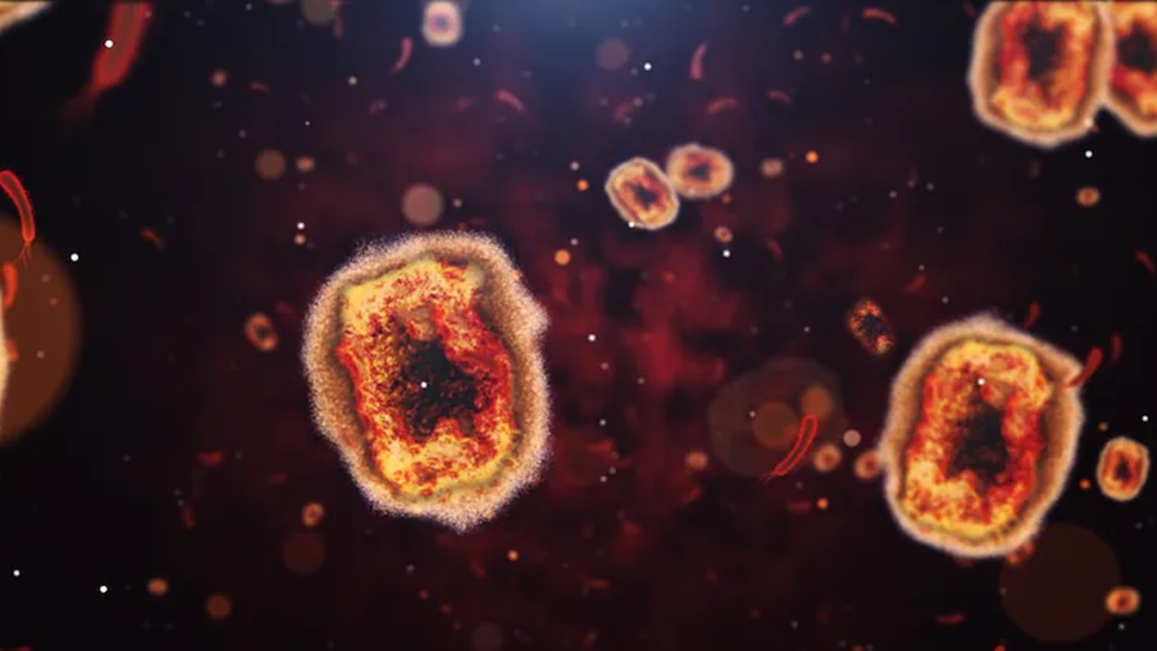 Langya henipa virus: చైనాలో మరో కొత్త వైరస్.. లక్షణాలు ఇవే..