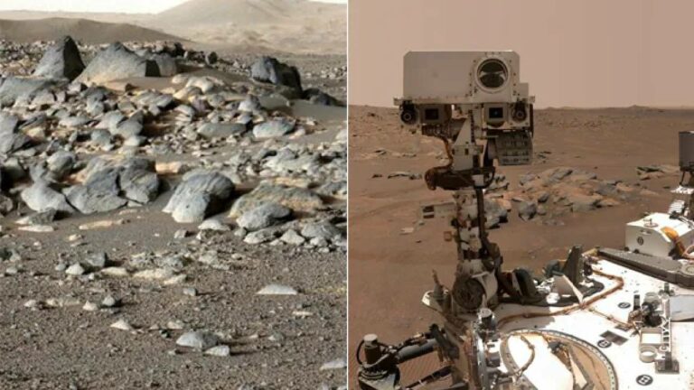 Mars: అంగారకుడిపై అరుదైన శిలలను గుర్తించిన పర్సెవరెన్స్ రోవర్..