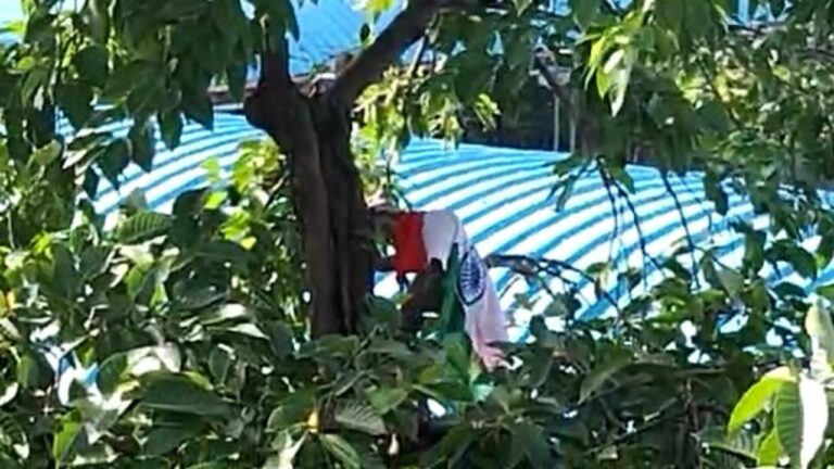 Monkey Flag Hosting: ఆ వానరం చేసిన పనికి అంతా ఫిదా