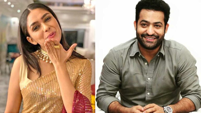 NTR 30: తారకరాముడి సరసన సీత ఫిక్స్..?