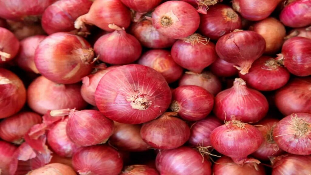 Onion Pirce