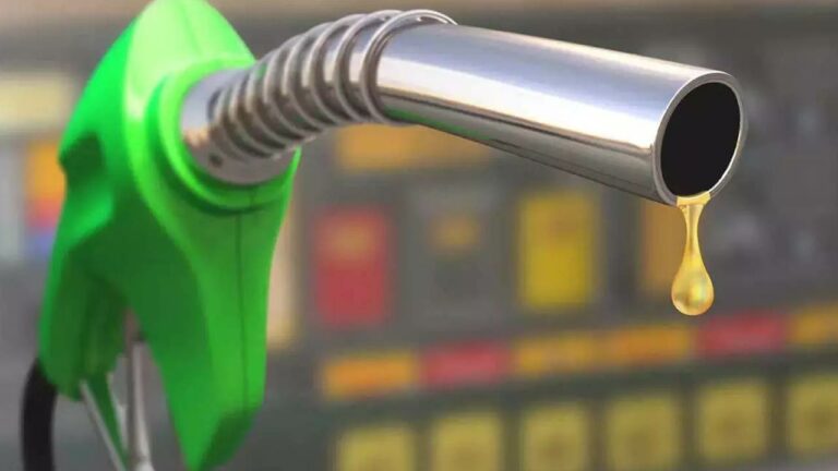 No Helmet No Petrol : వాహనదారులకు షాక్‌.. ఆగస్టు 15 నుంచి వారికి పెట్రోల్‌ బంద్‌