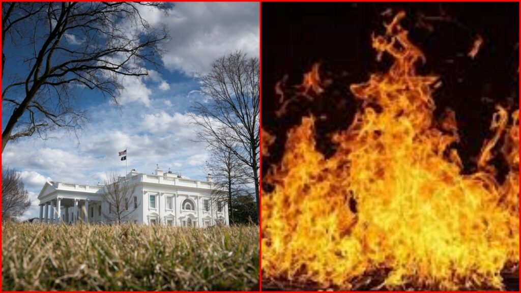 Whitehouse Lightning Strike