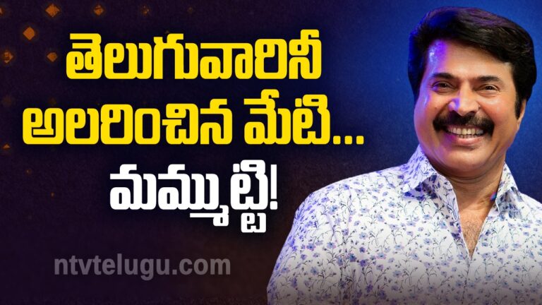 Mammootty Birthday Special : తెలుగువారినీ అలరించిన మేటి…మమ్ముట్టి!