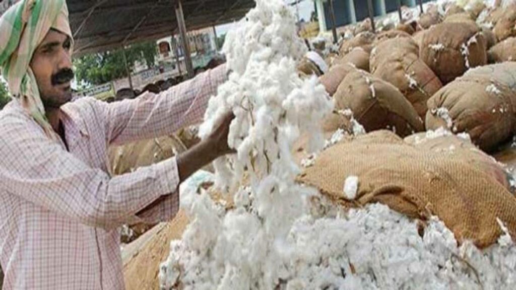 Cotton Price